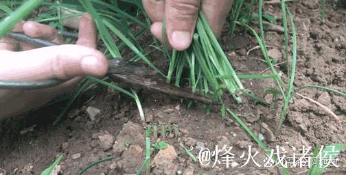 深挖国产吃瓜网背后的趣味世界